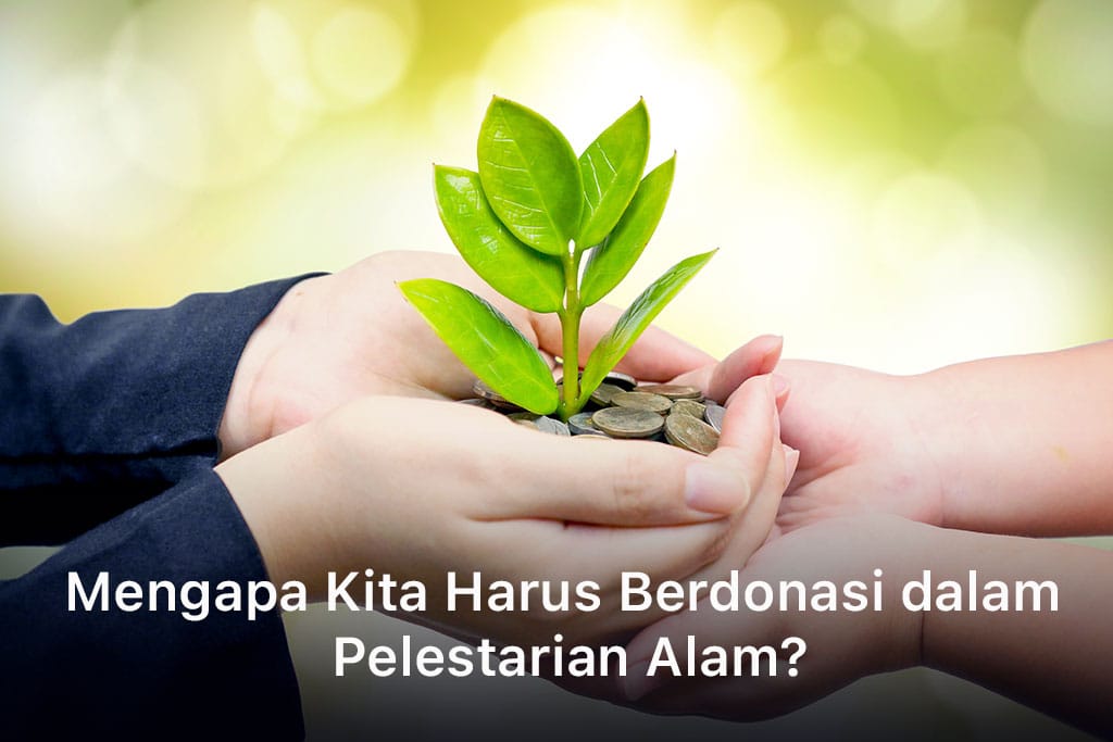 Mengapa Kita Harus Berdonasi dalam Pelestarian Alam