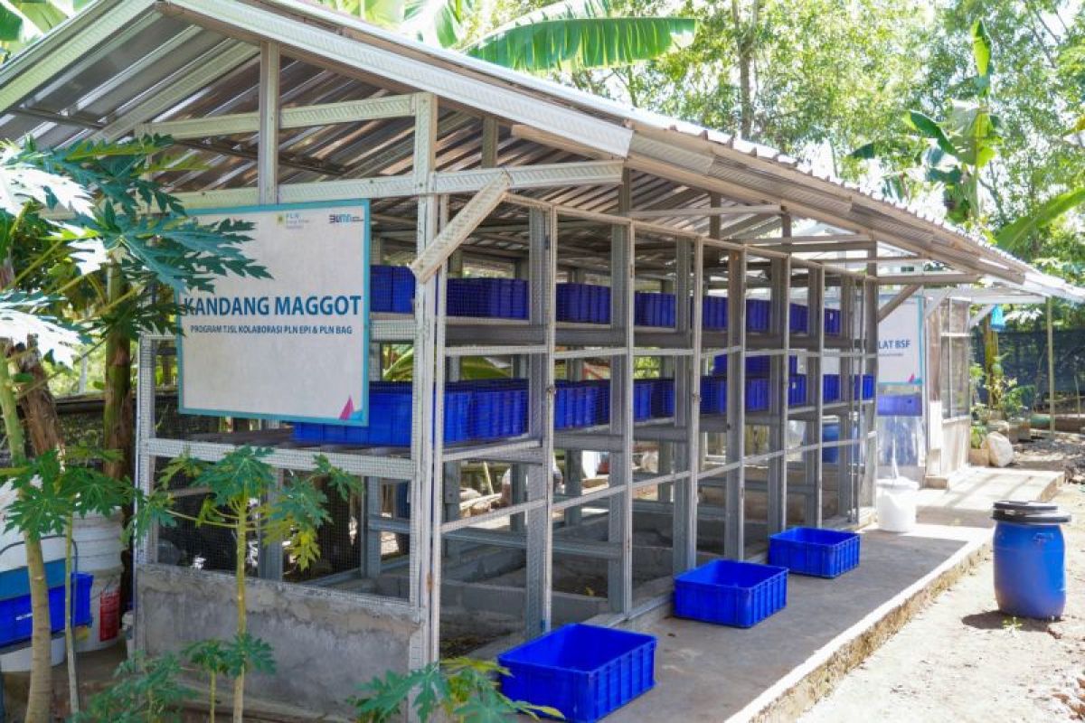 Rencana Khusus: PLN EPI: Penghargaan NCSRA 2026 jadi bukti transformasi CSR berjalan