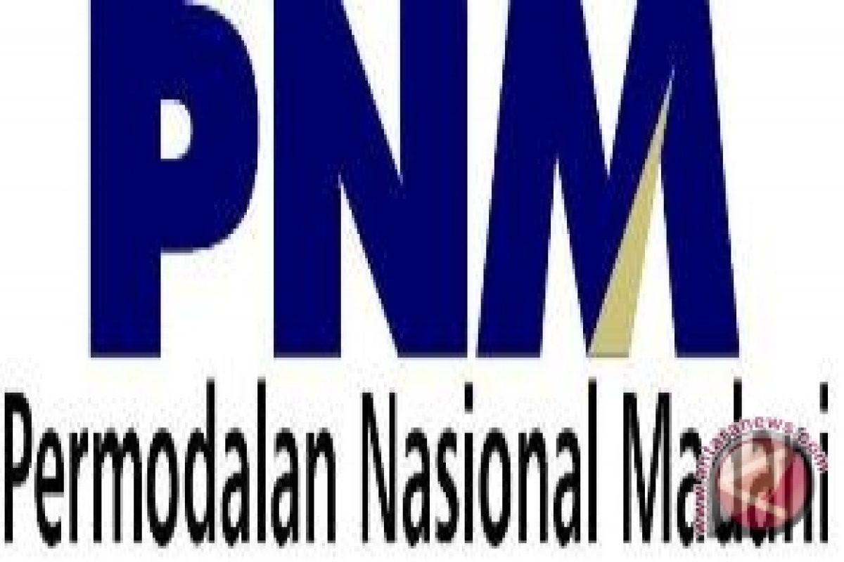Momen Bersejarah: Urgensi transformasi PNM menjadi bank khusus UMKM