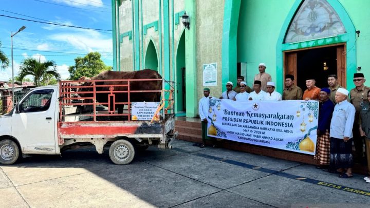 Bupati Bulungan serahkan hewan kurban Prabowo Subianto ke masjid