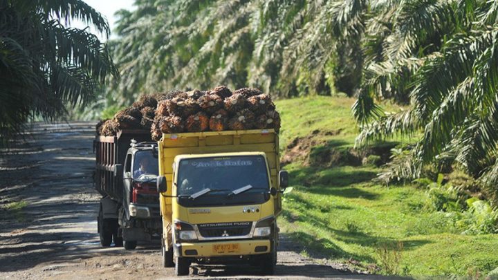 Key Discussion: Upaya implementasi Pasal 33 UUD 45 lewat ekspor satu pintu
