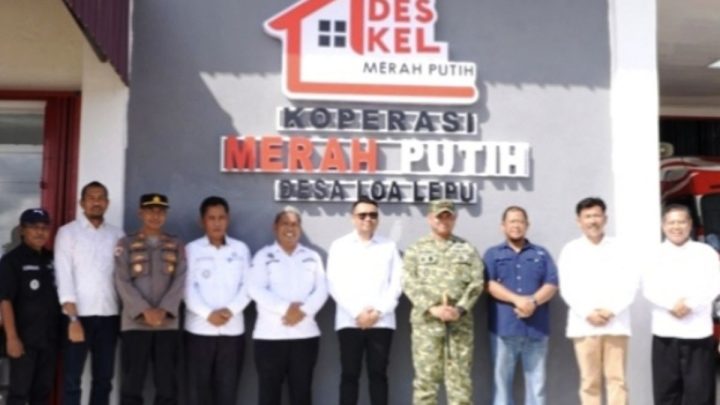 Latest Program: Pengamat: KDMP sebagai agregator perkuat nilai tambah pangan desa