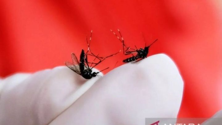 Perubahan iklim tingkatkan risiko DBD – malaria, dan diare pada anak