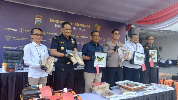 Historic Moment: Polda Jatim gagalkan penyelundupan satwa dilindungi ke luar negeri