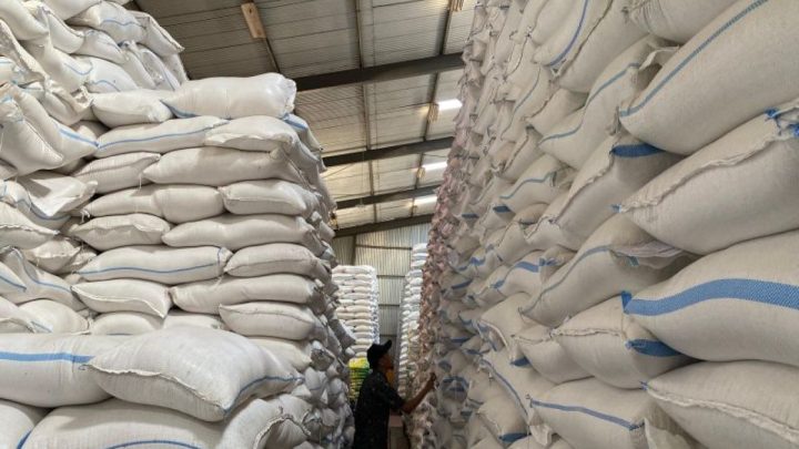 Key Strategy: Jangan terlena oleh rekor, produksi beras harus terus dijaga