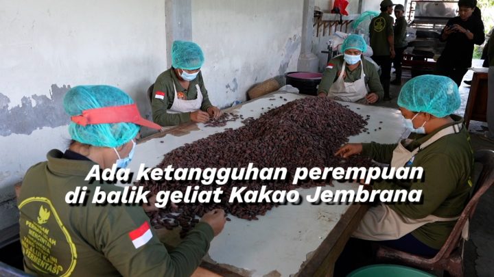 Key Discussion: Ada ketangguhan perempuan di balik geliat kakao Jembrana