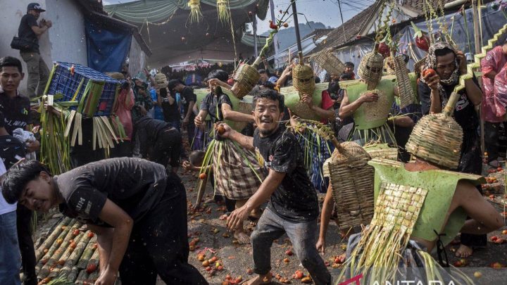 Warga Lembang saling lempar tomat pada tradisi Rempug Tarung Perang Tomat