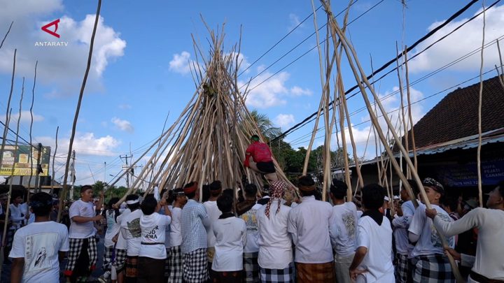 Tradisi Mekotek – perayaan kemenangan dari Desa Adat Munggu di Bali