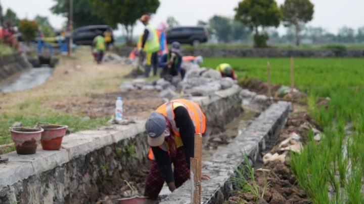 New Policy: CORE: Jaringan irigasi jadi kunci jaga produksi pangan hadapi El Nino