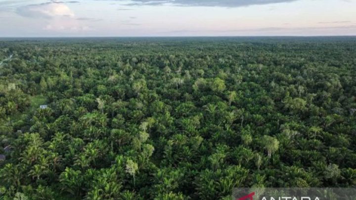New Policy: Urgensi pemimpin berintegritas dan berwawasan ekologis bagi Indonesia