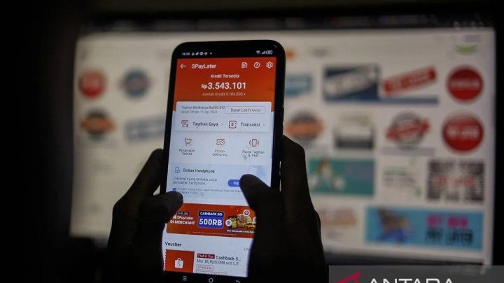 Special Plan: Ekonom sebut pembatasan paylater perkuat pelindungan konsumen