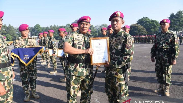 Marinir beri penghargaan prajurit berprestasi di Operasi Kasuari