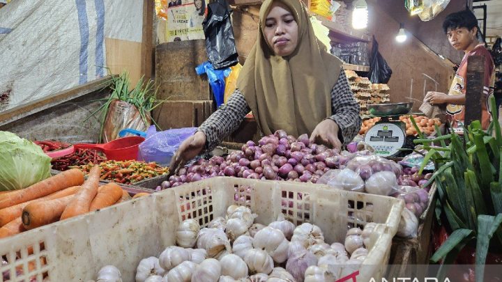 Key Strategy: Disperindag Papua fokus perkuat produksi komoditas pangan strategis
