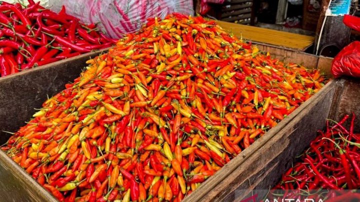 Latest Program: Harga cabai rawit Rp63.200/kg, telur ayam Rp29.150/kg pada Jumat pagi