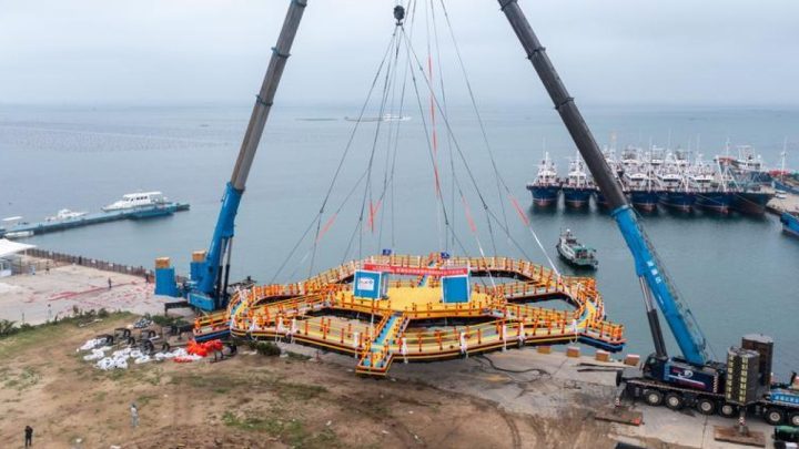 Solution For: China luncurkan lab lepas pantai untuk penelitian ekologi pesisir