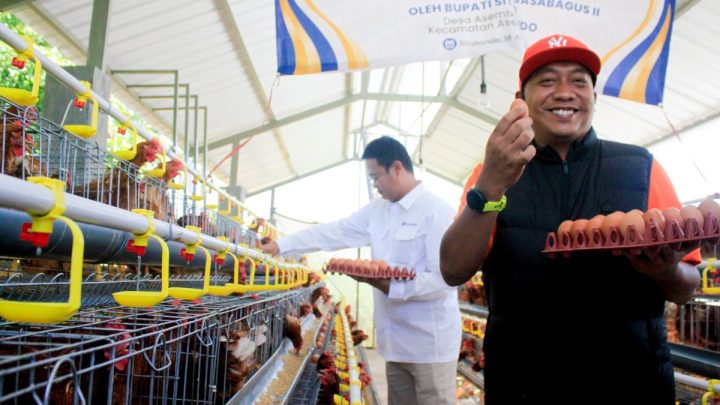 New Policy: Pemkab Situbondo fasilitasi peternak ayam petelur pasok telur ke SPPG