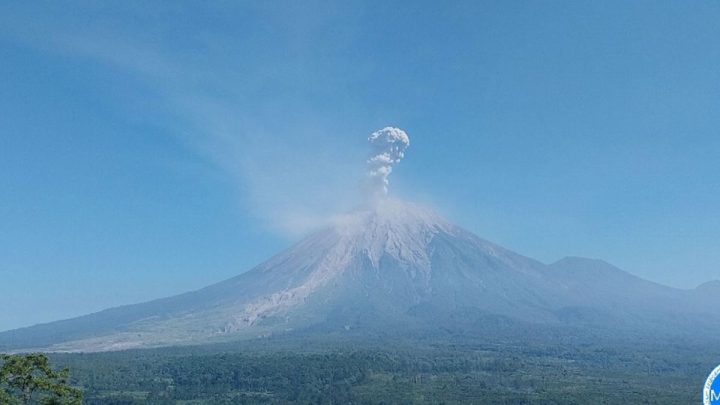 Tinggi letusan erupsi Gunung Semeru hingga 1,3 km di atas puncak