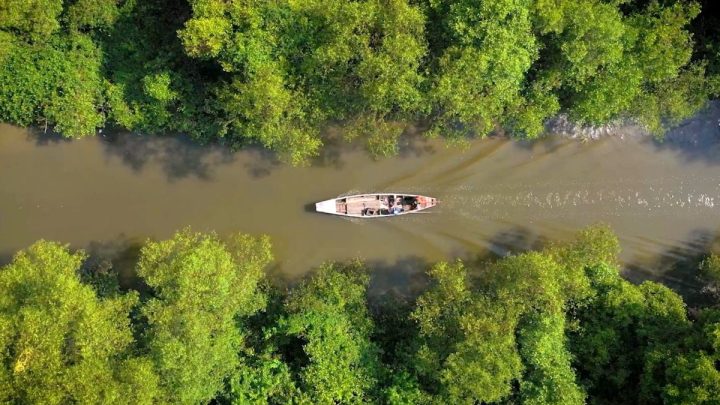 Meeting Results: Mangrove mengukur peradaban