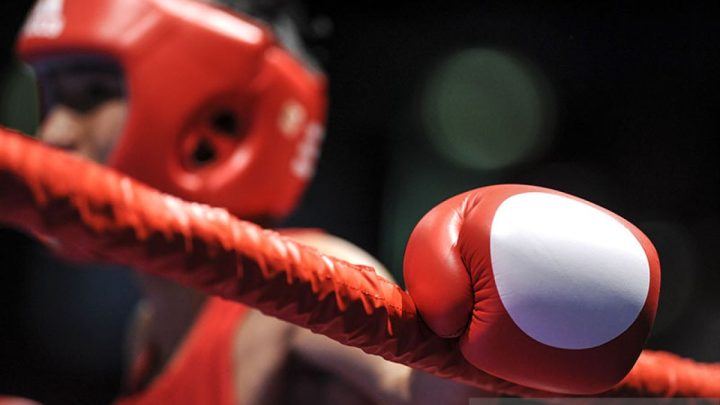 Historic Moment: Pelatih sebut tim Indonesia untuk Asian Boxing didominasi debutan