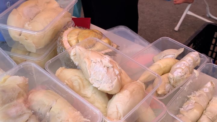 Sulteng targetkan jadi pusat durian unggulan, bidik pasar dunia