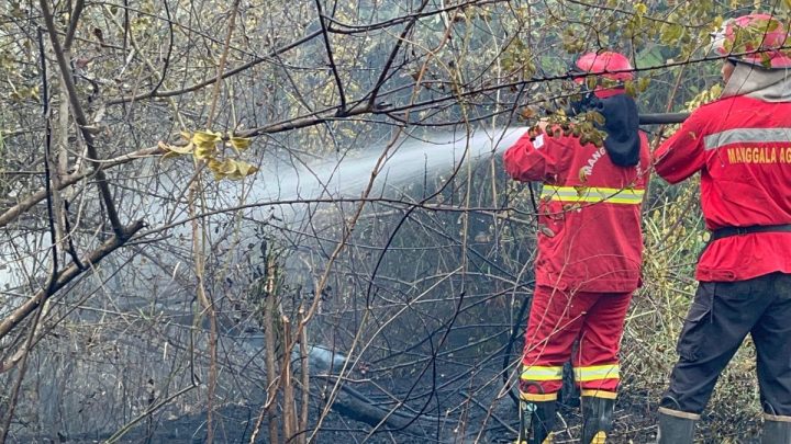 Manggala Agni tangani lima titik karhutla di Ogan Ilir