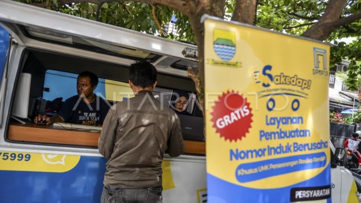 Pengamat: Digitalisasi layanan UMKM perlu sediakan alternatif akses