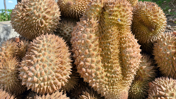 Dari Parigi Moutong, durian Sulteng tembus China