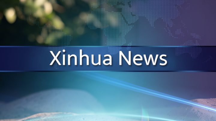 Perusahaan tambang China didorong perkuat kepatuhan regulasi di Indonesia